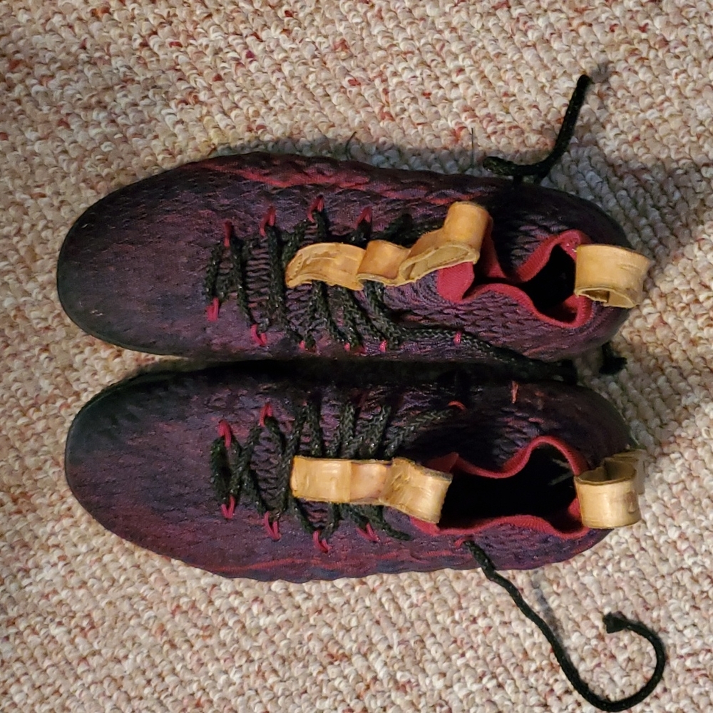 Lebron 15